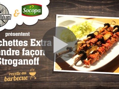 Brochettes Extra Tendre façon Stroganoff